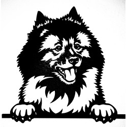 Chien chioioi