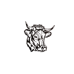 Tête de vache Aubrac