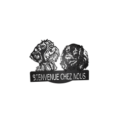 Bienvenue les deux chiens