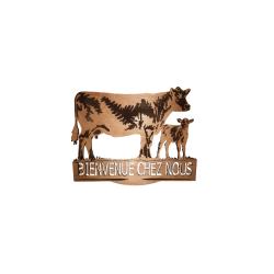 Bienvenue vache avec son  veau