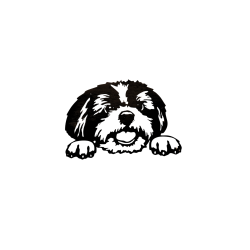 Le Shih Tzu
