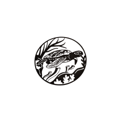 La tortue dans un rond