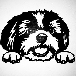 Chien  Mireille Mathieu