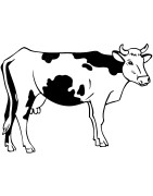 De ferme